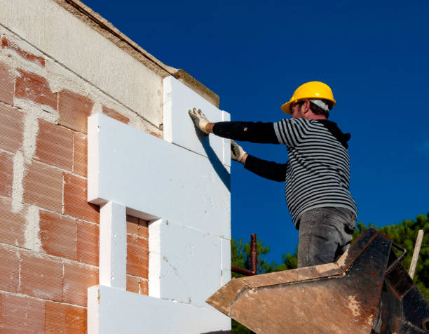 Best Insulation for New Construction  in Joshua, TX