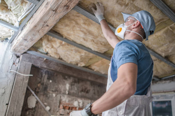 Best Spray Foam Insulation  in Joshua, TX