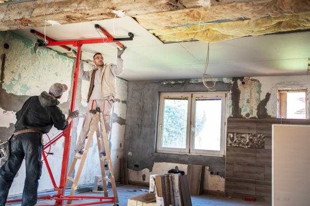 Best Home Insulation Services  in Joshua, TX