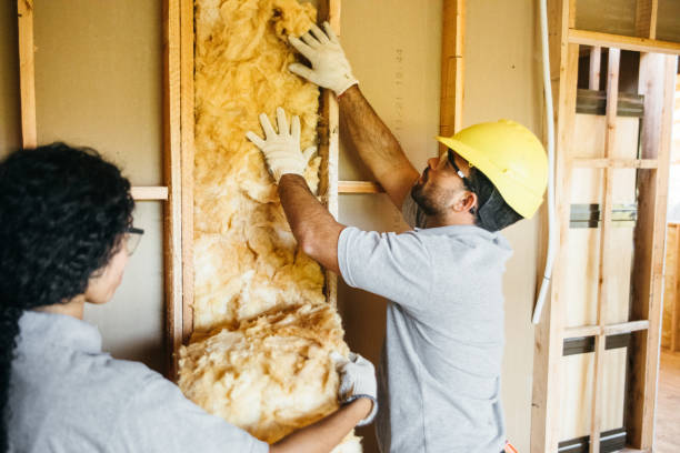 Best Insulation Replacement Services  in Joshua, TX