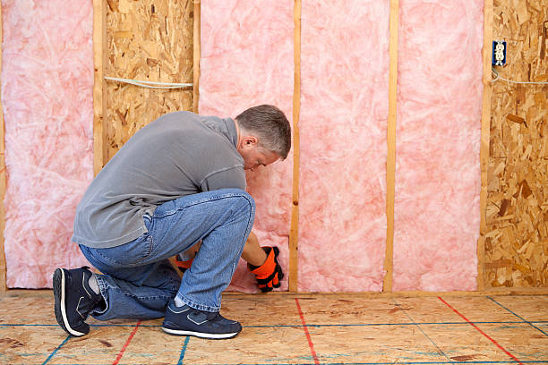 Best Professional Insulation Contractor  in Joshua, TX
