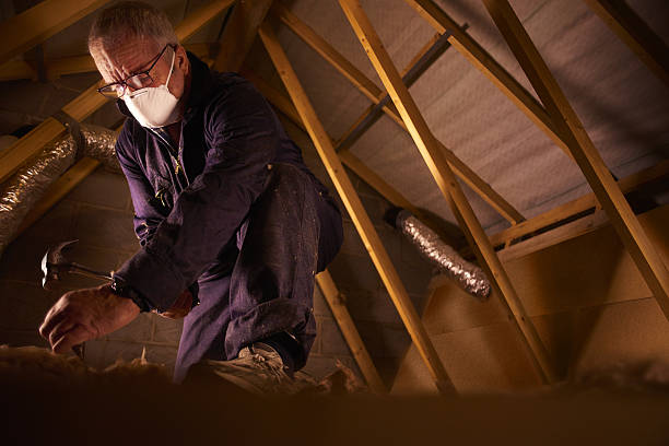Best Cellulose Insulation  in Joshua, TX